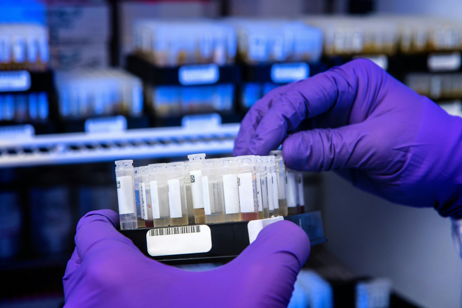Liquid Handling Pipettierrobotter im Labor der Zukunft